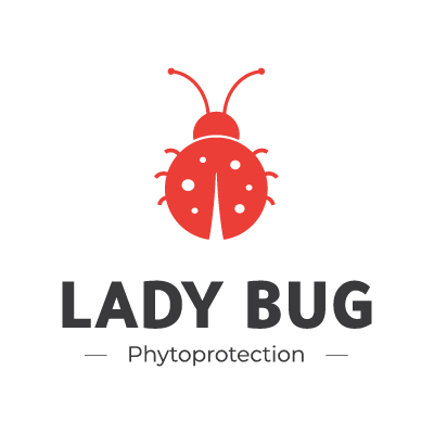 Lady Bug - Piège collant - Bleu