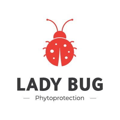 Lady Bug - Green lacewings