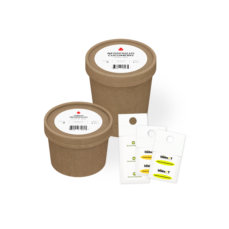 produits-vedettes